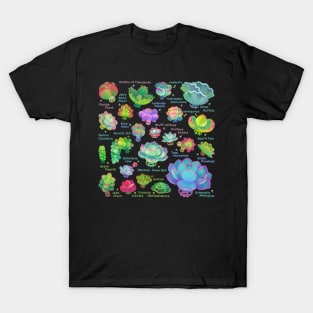 Baby succulent 2 T-Shirt